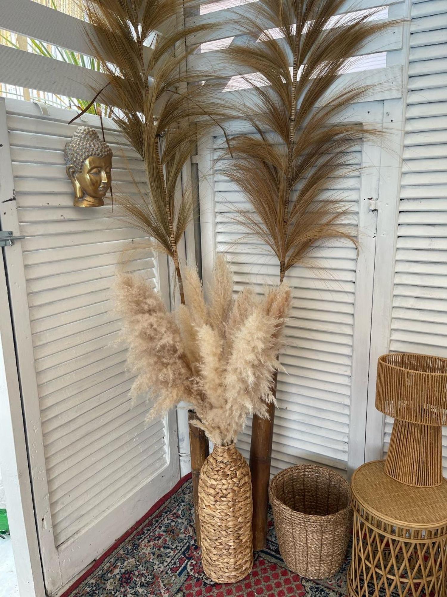 פרנקווילה אל מארה Villa Tropical מראה חיצוני תמונה